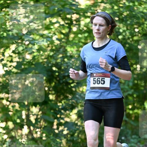 06.10.2024 - Bramfelder Halbmarathon 2024 Dr. Thomas Lammeyer http://msf.ph/oto/7338170 06.10.2024 10:25:22 Laufen 33, 565 meine-sportfotos.de
