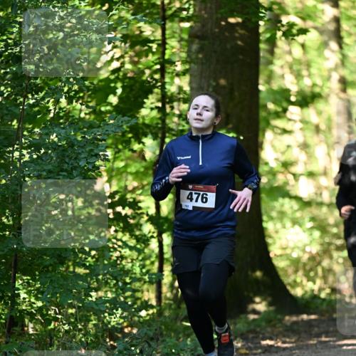 06.10.2024 - Bramfelder Halbmarathon 2024 Dr. Thomas Lammeyer http://msf.ph/oto/7338172 06.10.2024 10:25:43 Laufen 476, 162 meine-sportfotos.de