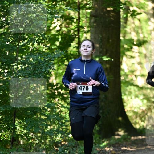 06.10.2024 - Bramfelder Halbmarathon 2024 Dr. Thomas Lammeyer http://msf.ph/oto/7338174 06.10.2024 10:25:43 Laufen 476, 162 meine-sportfotos.de