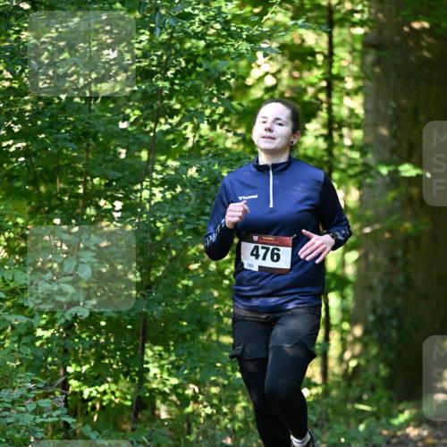 06.10.2024 - Bramfelder Halbmarathon 2024 Dr. Thomas Lammeyer http://msf.ph/oto/7338177 06.10.2024 10:25:43 Laufen 476, 162 meine-sportfotos.de