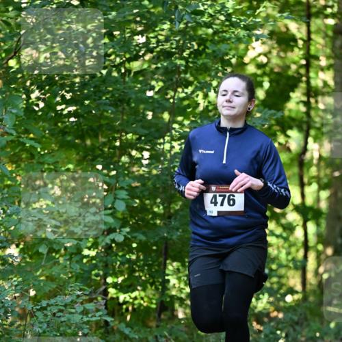 06.10.2024 - Bramfelder Halbmarathon 2024 Dr. Thomas Lammeyer http://msf.ph/oto/7338179 06.10.2024 10:25:44 Laufen 476, 162 meine-sportfotos.de