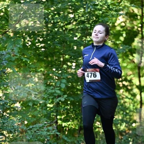 06.10.2024 - Bramfelder Halbmarathon 2024 Dr. Thomas Lammeyer http://msf.ph/oto/7338180 06.10.2024 10:25:44 Laufen 476, 62 meine-sportfotos.de