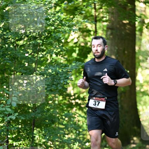 06.10.2024 - Bramfelder Halbmarathon 2024 Dr. Thomas Lammeyer http://msf.ph/oto/7338200 06.10.2024 10:25:49 Laufen 37 meine-sportfotos.de