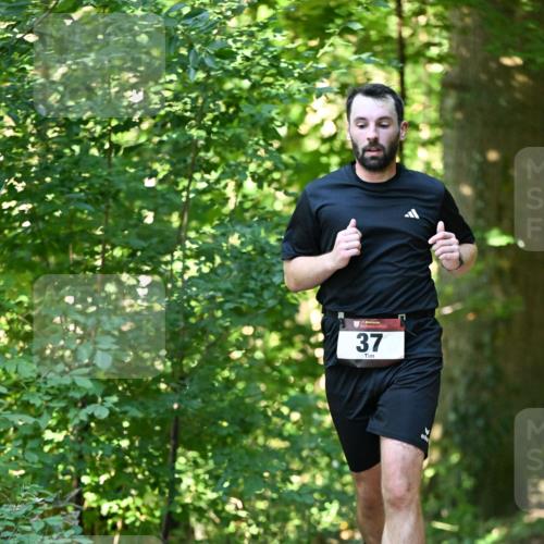 06.10.2024 - Bramfelder Halbmarathon 2024 Dr. Thomas Lammeyer http://msf.ph/oto/7338202 06.10.2024 10:25:49 Laufen 37 meine-sportfotos.de