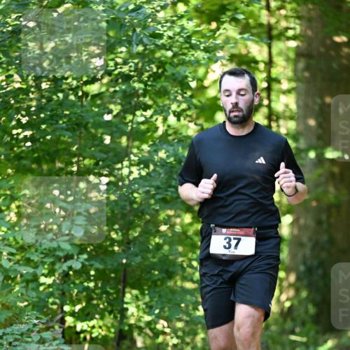 06.10.2024 - Bramfelder Halbmarathon 2024 Dr. Thomas Lammeyer http://msf.ph/oto/7338203 06.10.2024 10:25:49 Laufen 37 meine-sportfotos.de