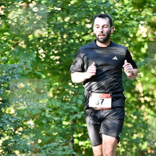06.10.2024 - Bramfelder Halbmarathon 2024 Dr. Thomas Lammeyer http://msf.ph/oto/7338208 06.10.2024 10:25:50 Laufen 37 meine-sportfotos.de