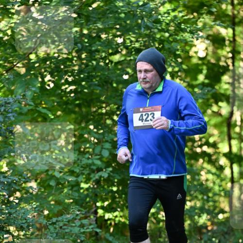 06.10.2024 - Bramfelder Halbmarathon 2024 Dr. Thomas Lammeyer http://msf.ph/oto/7338237 06.10.2024 10:26:02 Laufen 423 meine-sportfotos.de