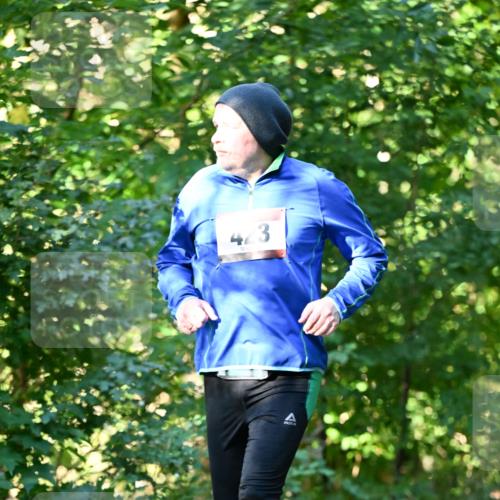 06.10.2024 - Bramfelder Halbmarathon 2024 Dr. Thomas Lammeyer http://msf.ph/oto/7338241 06.10.2024 10:26:03 Laufen 3 meine-sportfotos.de