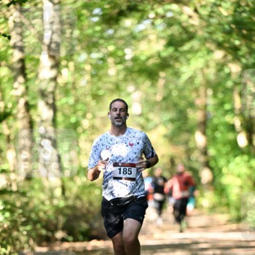 06.10.2024 - Bramfelder Halbmarathon 2024 Dr. Thomas Lammeyer http://msf.ph/oto/7338280 06.10.2024 10:26:12 Laufen 185 meine-sportfotos.de