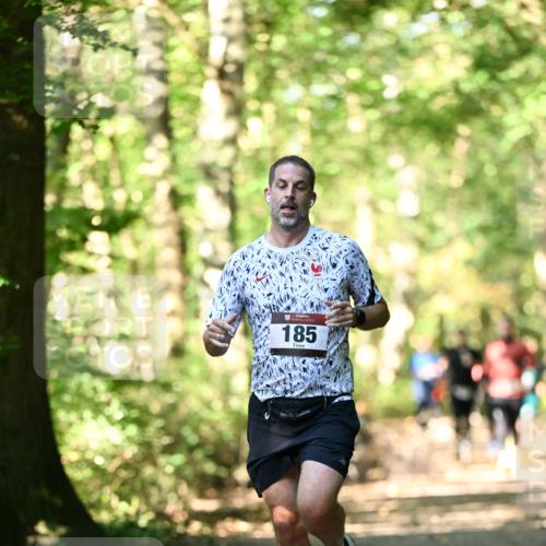 06.10.2024 - Bramfelder Halbmarathon 2024 Dr. Thomas Lammeyer http://msf.ph/oto/7338285 06.10.2024 10:26:12 Laufen 185 meine-sportfotos.de