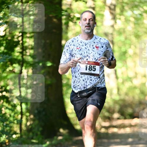 06.10.2024 - Bramfelder Halbmarathon 2024 Dr. Thomas Lammeyer http://msf.ph/oto/7338291 06.10.2024 10:26:13 Laufen 185 meine-sportfotos.de