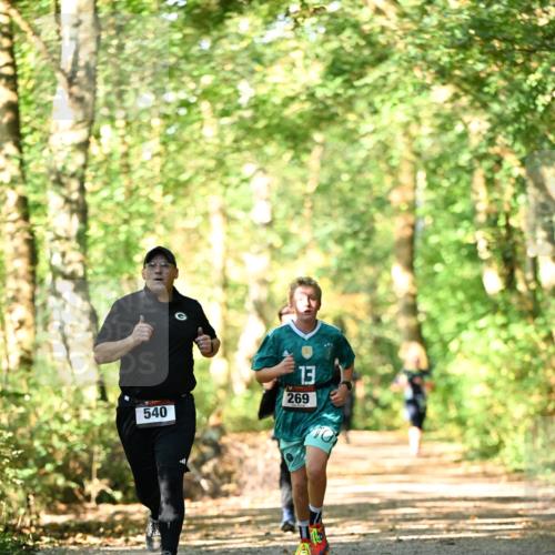 06.10.2024 - Bramfelder Halbmarathon 2024 Dr. Thomas Lammeyer http://msf.ph/oto/7338306 06.10.2024 10:26:23 Laufen 540, 13, 269 meine-sportfotos.de