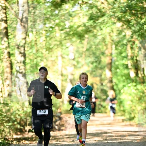 06.10.2024 - Bramfelder Halbmarathon 2024 Dr. Thomas Lammeyer http://msf.ph/oto/7338307 06.10.2024 10:26:23 Laufen 540, 269, 10 meine-sportfotos.de