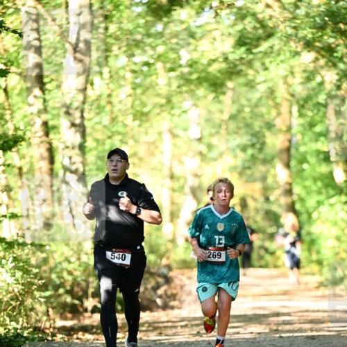 06.10.2024 - Bramfelder Halbmarathon 2024 Dr. Thomas Lammeyer http://msf.ph/oto/7338308 06.10.2024 10:26:24 Laufen 540, 13, 269 meine-sportfotos.de