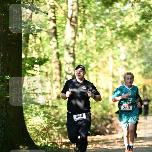 06.10.2024 - Bramfelder Halbmarathon 2024 Dr. Thomas Lammeyer http://msf.ph/oto/7338312 06.10.2024 10:26:24 Laufen 540, 13, 269 meine-sportfotos.de