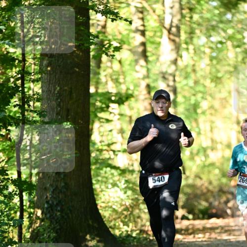 06.10.2024 - Bramfelder Halbmarathon 2024 Dr. Thomas Lammeyer http://msf.ph/oto/7338316 06.10.2024 10:26:25 Laufen 540, 269 meine-sportfotos.de