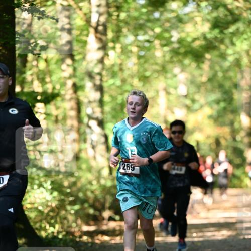 06.10.2024 - Bramfelder Halbmarathon 2024 Dr. Thomas Lammeyer http://msf.ph/oto/7338322 06.10.2024 10:26:26 Laufen 0, 269, 10 meine-sportfotos.de