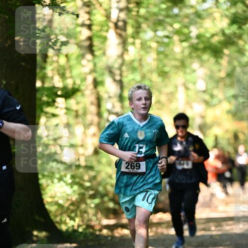 06.10.2024 - Bramfelder Halbmarathon 2024 Dr. Thomas Lammeyer http://msf.ph/oto/7338325 06.10.2024 10:26:26 Laufen 2, 14, 269 meine-sportfotos.de