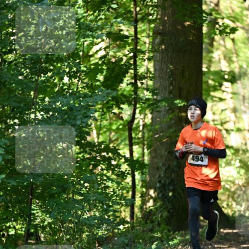 06.10.2024 - Bramfelder Halbmarathon 2024 Dr. Thomas Lammeyer http://msf.ph/oto/7338367 06.10.2024 10:26:40 Laufen 494 meine-sportfotos.de