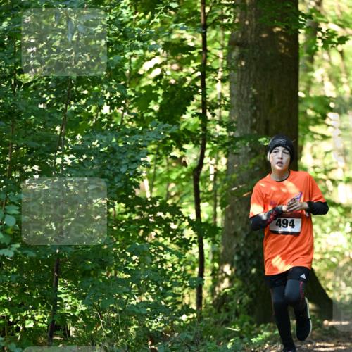 06.10.2024 - Bramfelder Halbmarathon 2024 Dr. Thomas Lammeyer http://msf.ph/oto/7338368 06.10.2024 10:26:40 Laufen 494 meine-sportfotos.de