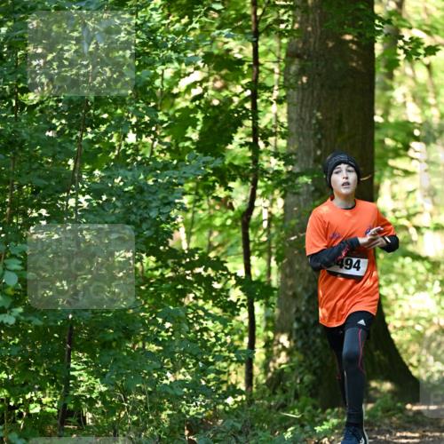 06.10.2024 - Bramfelder Halbmarathon 2024 Dr. Thomas Lammeyer http://msf.ph/oto/7338369 06.10.2024 10:26:40 Laufen 494 meine-sportfotos.de