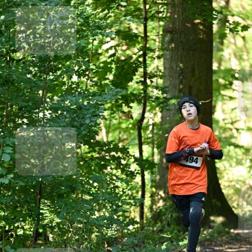 06.10.2024 - Bramfelder Halbmarathon 2024 Dr. Thomas Lammeyer http://msf.ph/oto/7338370 06.10.2024 10:26:40 Laufen 494 meine-sportfotos.de
