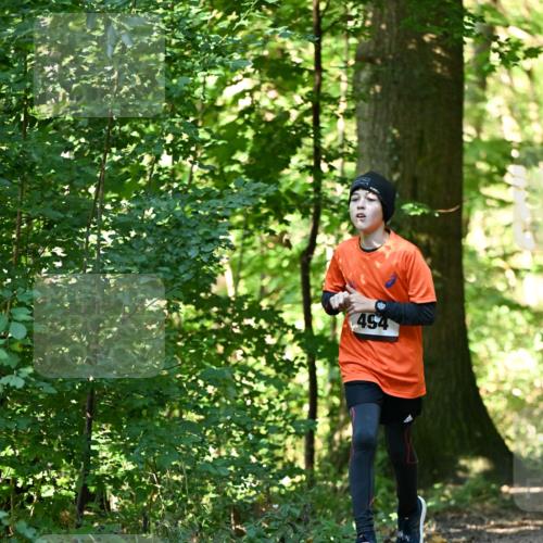 06.10.2024 - Bramfelder Halbmarathon 2024 Dr. Thomas Lammeyer http://msf.ph/oto/7338372 06.10.2024 10:26:40 Laufen 494 meine-sportfotos.de
