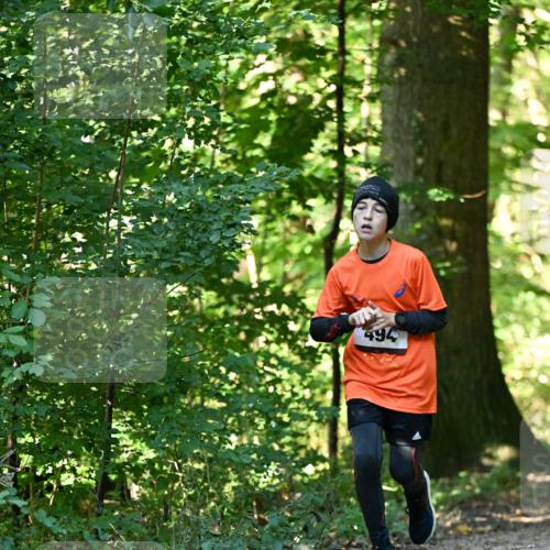 06.10.2024 - Bramfelder Halbmarathon 2024 Dr. Thomas Lammeyer http://msf.ph/oto/7338373 06.10.2024 10:26:41 Laufen 494 meine-sportfotos.de