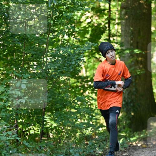 06.10.2024 - Bramfelder Halbmarathon 2024 Dr. Thomas Lammeyer http://msf.ph/oto/7338375 06.10.2024 10:26:41 Laufen  meine-sportfotos.de