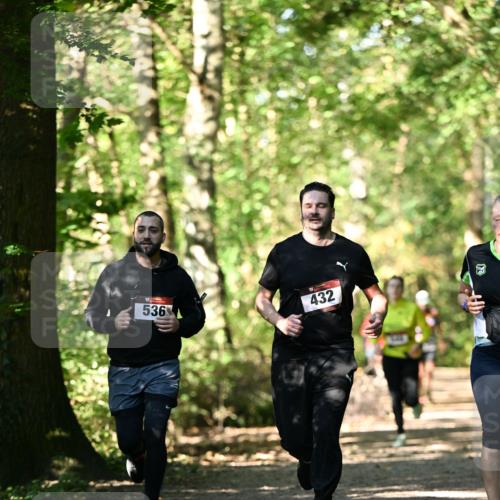 06.10.2024 - Bramfelder Halbmarathon 2024 Dr. Thomas Lammeyer http://msf.ph/oto/7338385 06.10.2024 10:26:45 Laufen 536, 432 meine-sportfotos.de