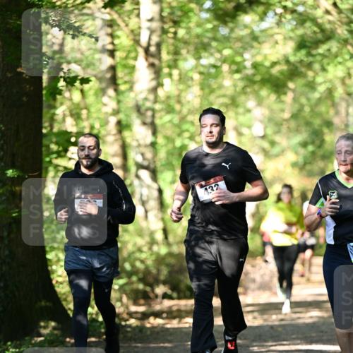 06.10.2024 - Bramfelder Halbmarathon 2024 Dr. Thomas Lammeyer http://msf.ph/oto/7338387 06.10.2024 10:26:45 Laufen 132 meine-sportfotos.de