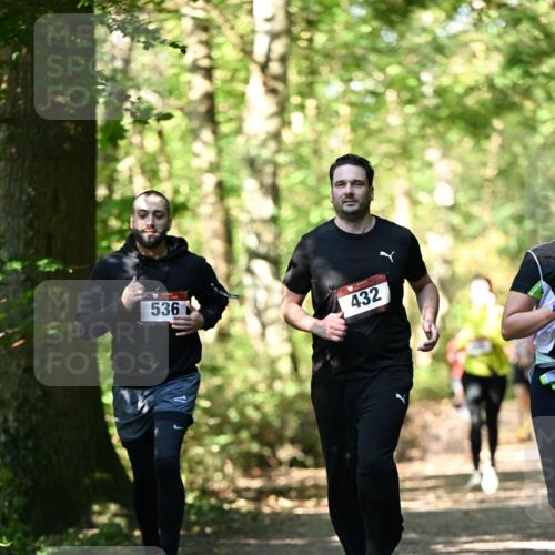 06.10.2024 - Bramfelder Halbmarathon 2024 Dr. Thomas Lammeyer http://msf.ph/oto/7338389 06.10.2024 10:26:46 Laufen 536, 432 meine-sportfotos.de
