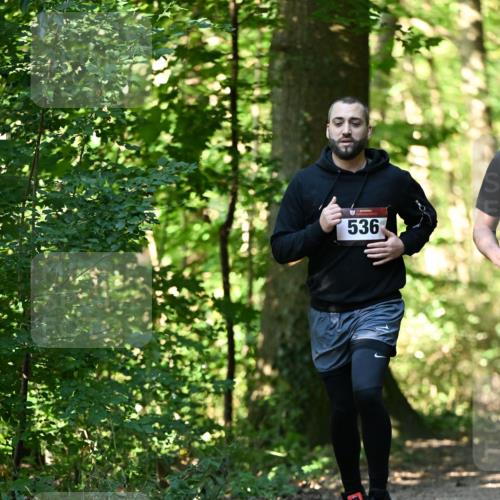06.10.2024 - Bramfelder Halbmarathon 2024 Dr. Thomas Lammeyer http://msf.ph/oto/7338391 06.10.2024 10:26:46 Laufen 536 meine-sportfotos.de