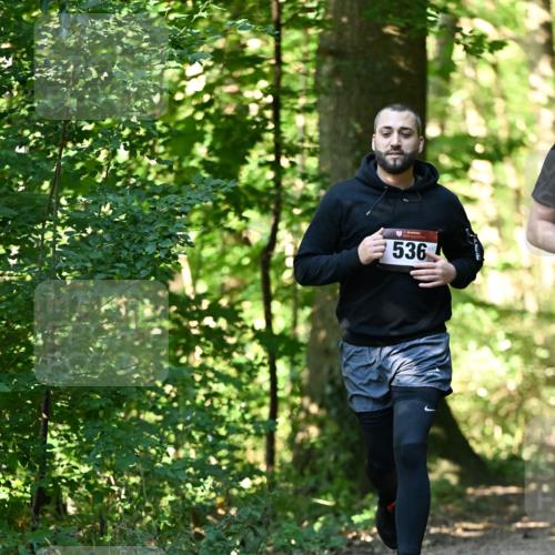 06.10.2024 - Bramfelder Halbmarathon 2024 Dr. Thomas Lammeyer http://msf.ph/oto/7338392 06.10.2024 10:26:46 Laufen 536 meine-sportfotos.de