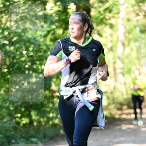 06.10.2024 - Bramfelder Halbmarathon 2024 Dr. Thomas Lammeyer http://msf.ph/oto/7338404 06.10.2024 10:26:49 Laufen  meine-sportfotos.de