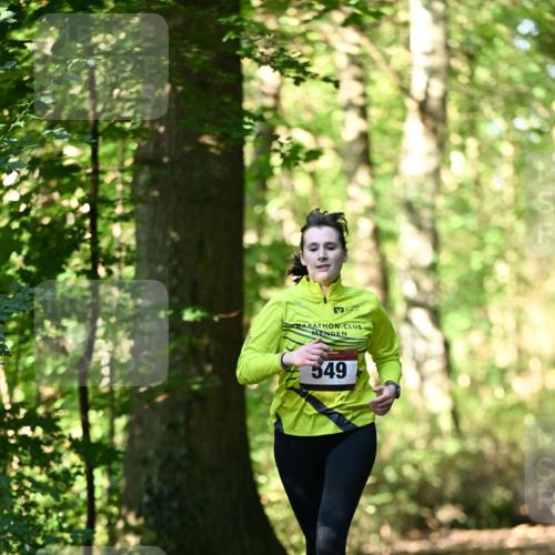 06.10.2024 - Bramfelder Halbmarathon 2024 Dr. Thomas Lammeyer http://msf.ph/oto/7338406 06.10.2024 10:26:51 Laufen 549 meine-sportfotos.de