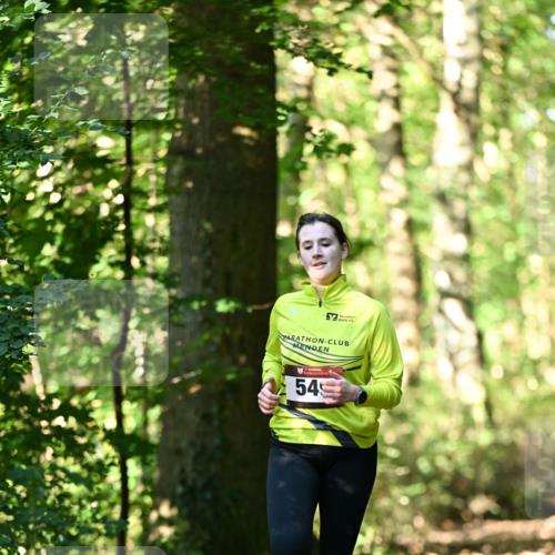 06.10.2024 - Bramfelder Halbmarathon 2024 Dr. Thomas Lammeyer http://msf.ph/oto/7338408 06.10.2024 10:26:51 Laufen 54 meine-sportfotos.de