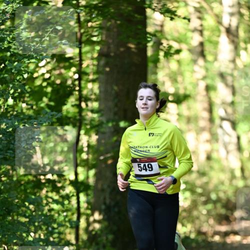 06.10.2024 - Bramfelder Halbmarathon 2024 Dr. Thomas Lammeyer http://msf.ph/oto/7338410 06.10.2024 10:26:52 Laufen 549 meine-sportfotos.de