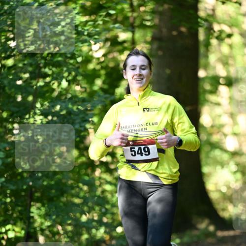 06.10.2024 - Bramfelder Halbmarathon 2024 Dr. Thomas Lammeyer http://msf.ph/oto/7338416 06.10.2024 10:26:53 Laufen 549 meine-sportfotos.de