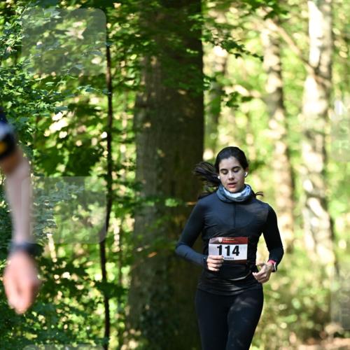 06.10.2024 - Bramfelder Halbmarathon 2024 Dr. Thomas Lammeyer http://msf.ph/oto/7338444 06.10.2024 10:27:01 Laufen 114 meine-sportfotos.de