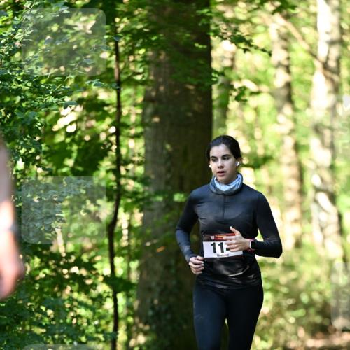 06.10.2024 - Bramfelder Halbmarathon 2024 Dr. Thomas Lammeyer http://msf.ph/oto/7338445 06.10.2024 10:27:02 Laufen 113 meine-sportfotos.de