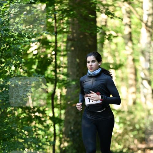 06.10.2024 - Bramfelder Halbmarathon 2024 Dr. Thomas Lammeyer http://msf.ph/oto/7338446 06.10.2024 10:27:02 Laufen  meine-sportfotos.de