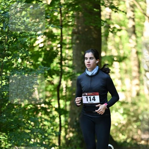 06.10.2024 - Bramfelder Halbmarathon 2024 Dr. Thomas Lammeyer http://msf.ph/oto/7338447 06.10.2024 10:27:02 Laufen 114 meine-sportfotos.de