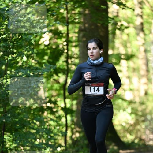 06.10.2024 - Bramfelder Halbmarathon 2024 Dr. Thomas Lammeyer http://msf.ph/oto/7338448 06.10.2024 10:27:02 Laufen 114 meine-sportfotos.de