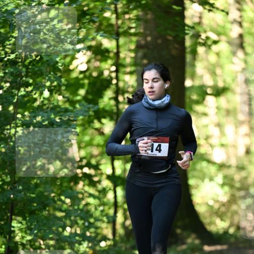 06.10.2024 - Bramfelder Halbmarathon 2024 Dr. Thomas Lammeyer http://msf.ph/oto/7338449 06.10.2024 10:27:02 Laufen 14 meine-sportfotos.de