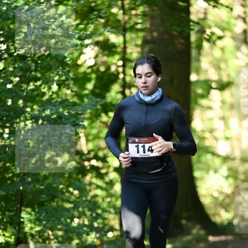 06.10.2024 - Bramfelder Halbmarathon 2024 Dr. Thomas Lammeyer http://msf.ph/oto/7338450 06.10.2024 10:27:02 Laufen 33, 114 meine-sportfotos.de