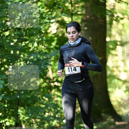 06.10.2024 - Bramfelder Halbmarathon 2024 Dr. Thomas Lammeyer http://msf.ph/oto/7338451 06.10.2024 10:27:02 Laufen 114 meine-sportfotos.de