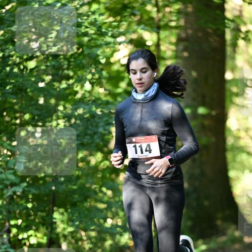 06.10.2024 - Bramfelder Halbmarathon 2024 Dr. Thomas Lammeyer http://msf.ph/oto/7338452 06.10.2024 10:27:02 Laufen 114 meine-sportfotos.de