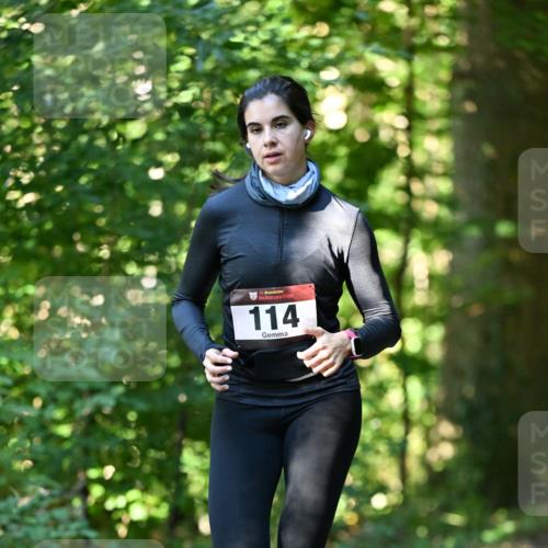 06.10.2024 - Bramfelder Halbmarathon 2024 Dr. Thomas Lammeyer http://msf.ph/oto/7338455 06.10.2024 10:27:03 Laufen 33, 114 meine-sportfotos.de