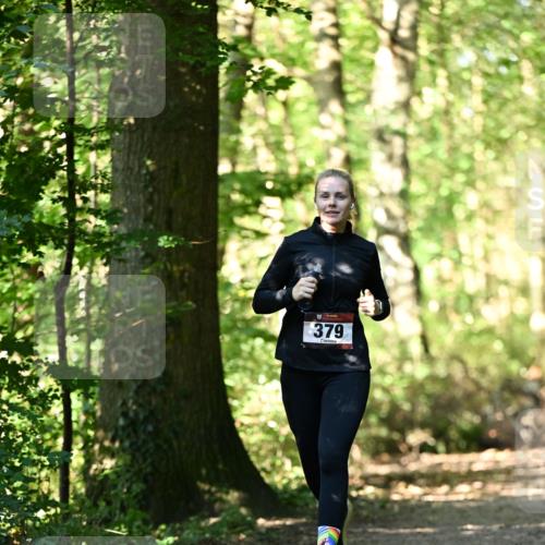 06.10.2024 - Bramfelder Halbmarathon 2024 Dr. Thomas Lammeyer http://msf.ph/oto/7338479 06.10.2024 10:27:10 Laufen 379 meine-sportfotos.de
